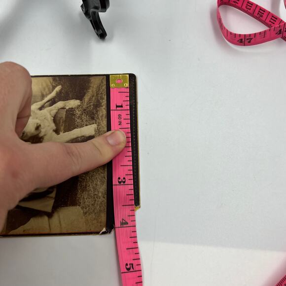 Antique Mounted Card Stock Black White Photo Child Boy Puppy 1800's Photograph - Picture 4 of 9